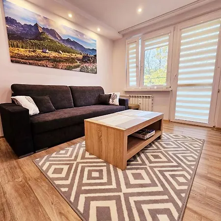 Sunny Apartment Centrum Zakopane Zewnętrze zdjęcie